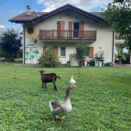 Agriturismo Girasole Fai della Paganella Luaran gambar